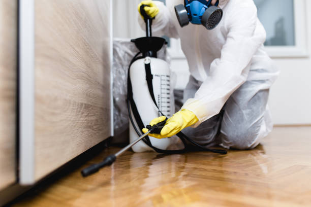 Best Best Pest Control Companies  in Dland, MI