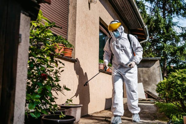 Best Affordable Pest Control Services  in Dland, MI