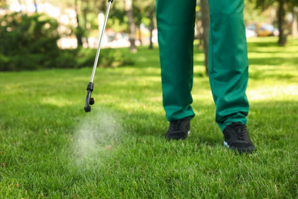 Best Pest Control for Restaurants  in Dland, MI