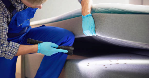 Best Best Pest Control Companies  in Dland, MI